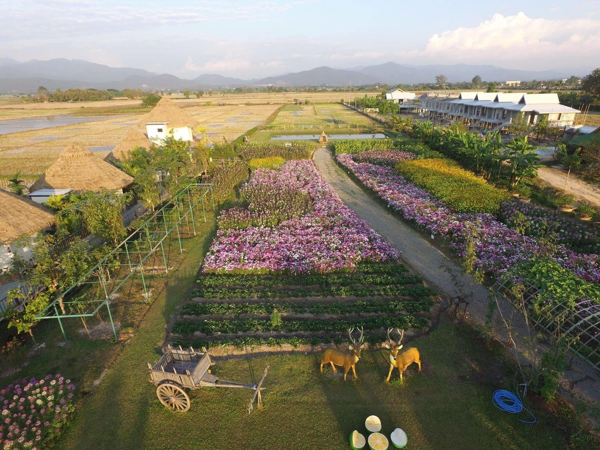 מאה טאנג Phusanfah Resort מראה חיצוני תמונה